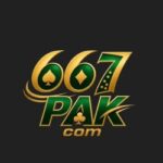 667 pak game